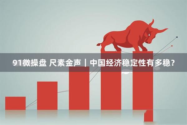 91微操盘 尺素金声|中国经济稳定性有多稳?