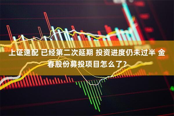 上证速配 已经第二次延期 投资进度仍未过半 金春股份募投项目怎么了？